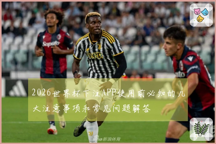 2026世界杯下注APP使用前必知的几大注意事项和常见问题解答