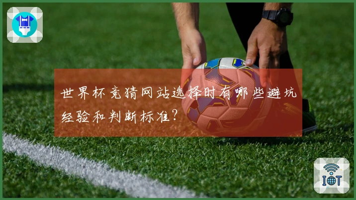 世界杯竞猜网站选择时有哪些避坑经验和判断标准？