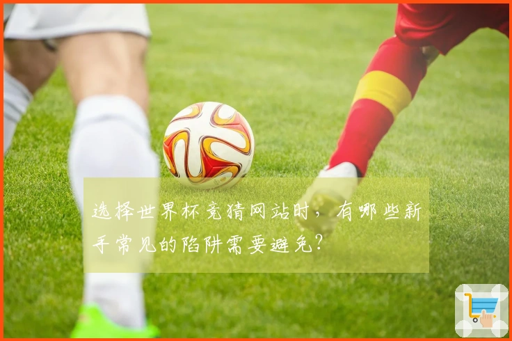 选择世界杯竞猜网站时，有哪些新手常见的陷阱需要避免？