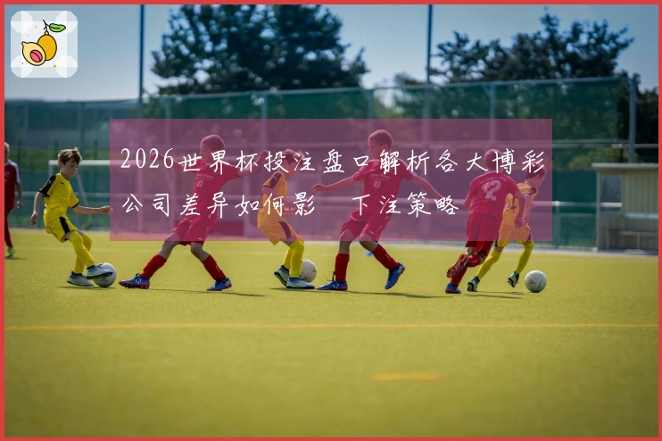 2026世界杯投注盘口解析各大博彩公司差异如何影響下注策略