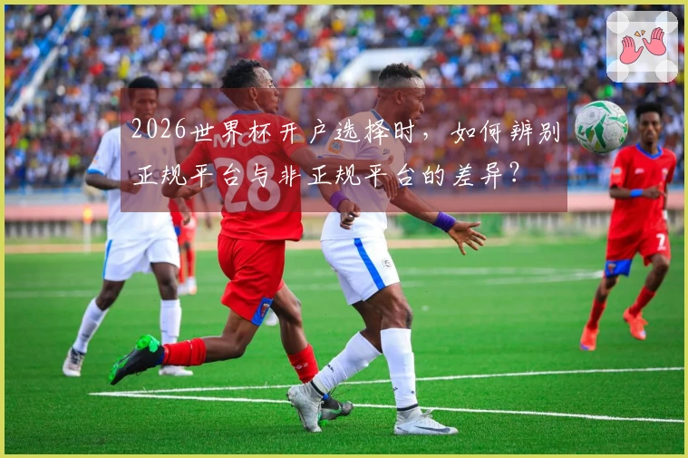 2026世界杯开户选择时，如何辨别正规平台与非正规平台的差异？
