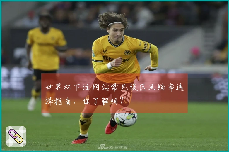 世界杯下注网站常见误区及赔率选择指南，你了解吗？