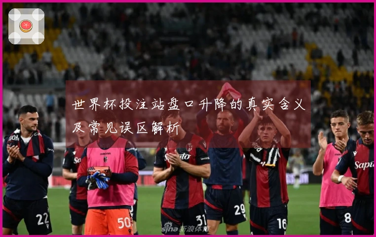世界杯投注站盘口升降的真实含义及常见误区解析