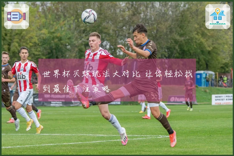 世界杯买球玩法大对比 让你轻松找到最佳下注策略