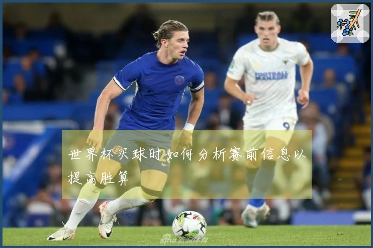 世界杯买球时如何分析赛前信息以提高胜算