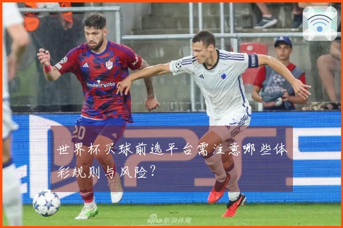 世界杯买球前选平台需注意哪些体彩规则与风险？