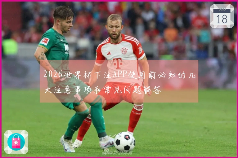 2026世界杯下注APP使用前必知的几大注意事项和常见问题解答