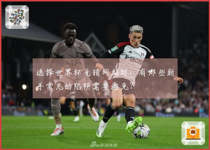 选择世界杯竞猜网站时，有哪些新手常见的陷阱需要避免？