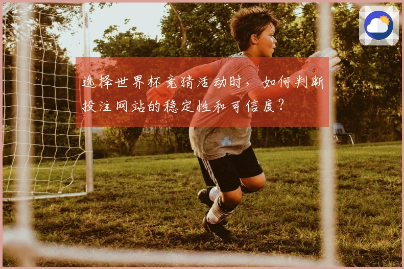 选择世界杯竞猜活动时，如何判断投注网站的稳定性和可信度？